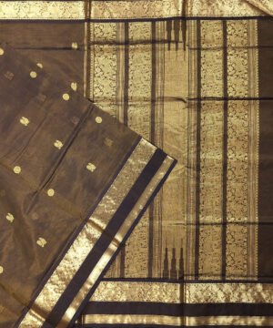 KORVAI KANJEEVARAM HANDLOOM RETTAPET BORDER SILK COTTON SAREE